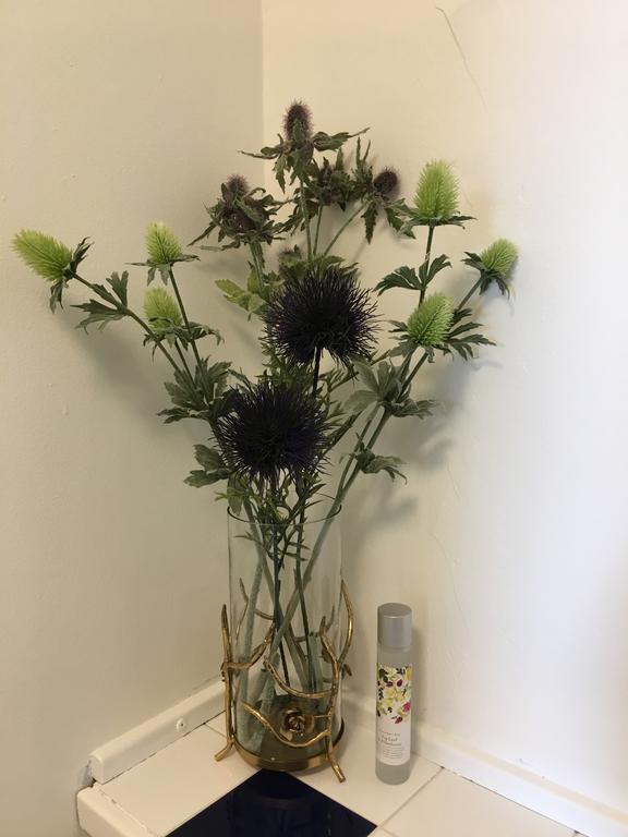 Ferienwohnung The Bothwell Bonnie Thistle Edinburgh Exterior foto